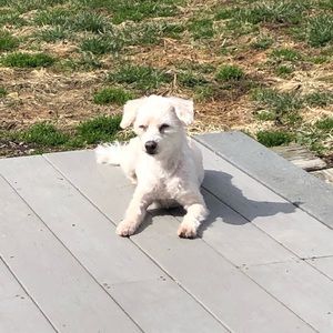 Meet your Posher, Tina